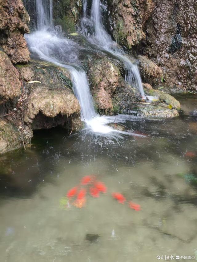 双节拍 | 雨中逛一逛，济南四大泉群之一——珍珠泉