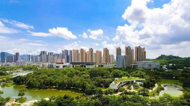 可直达坪山高铁站！这条公交线路通勤游玩两相宜~