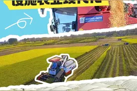 五大重点任务！云南大力推进设施农业现代化→图片
