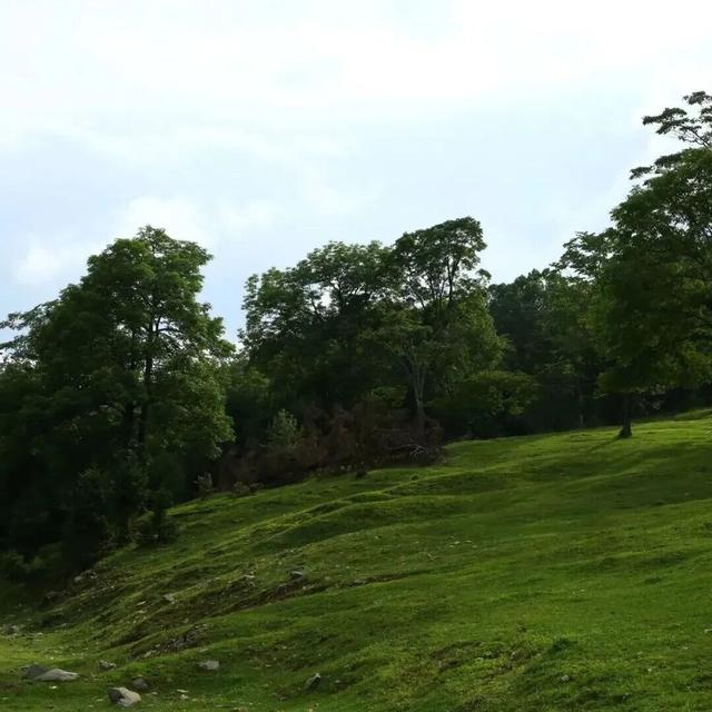 乘着高铁游白山 | “百区百景”打卡攻略之江源区仙人谷风景区