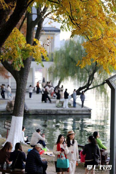 长沙初冬美到让人挪不开眼