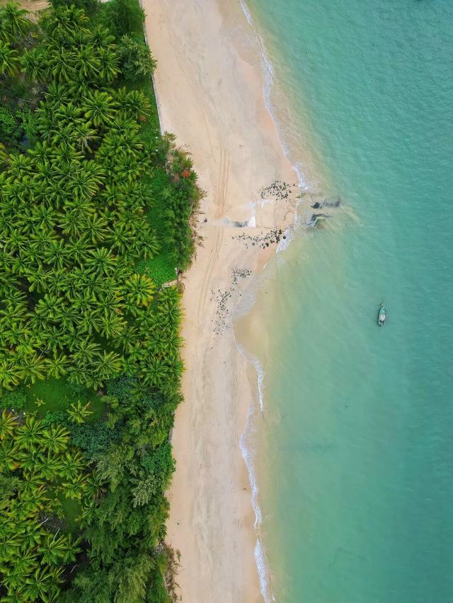 11月最应该去哪里旅行？