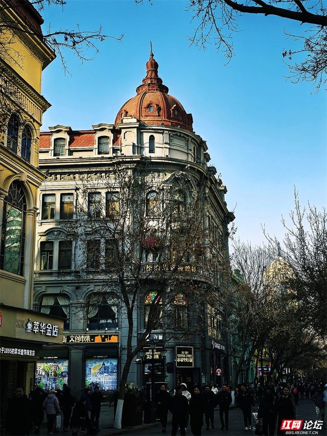 岁暖时刻丨来哈尔滨，一定要走一次中央大街