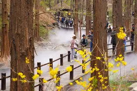 国家植物园：“人间仙境”赏春花图片