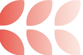 开屏策划｜云南，火了！图片