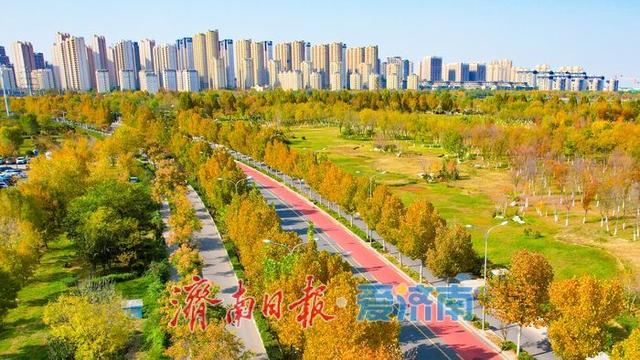 一年四季 泉在济南丨秋日彩叶映通途 一路风光伴出行