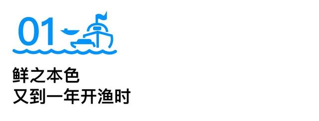 最鲜城市，请回答！