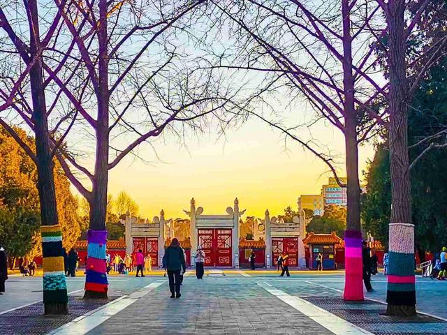 京城拍客今日精选｜大寒迎春日 冰雪绽芳华