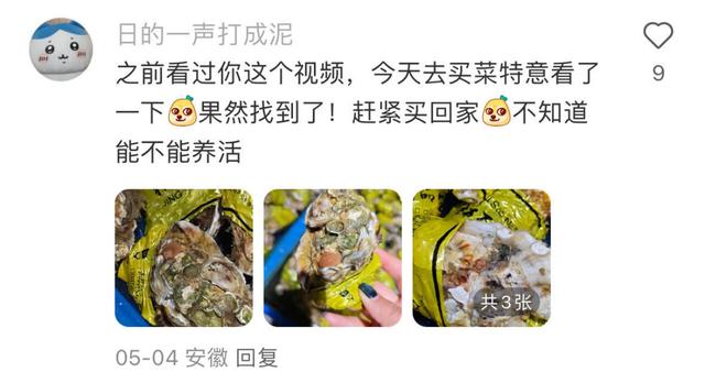 现在流行去盒马鲜生赶海？