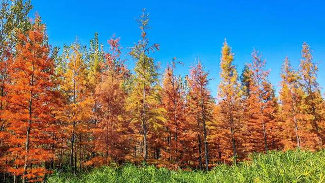 季节限定 | 温暖过冬,认准西昌牌“三件套”!