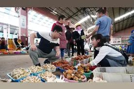 云南“毒网红”，笼络北上广中产图片