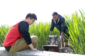 头陀：院地合作助茭白产业“绿色升级”图片