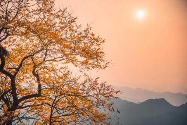中秋国庆来畅玩山野！潭溪山秋色正在加载中，红叶大片先收藏→