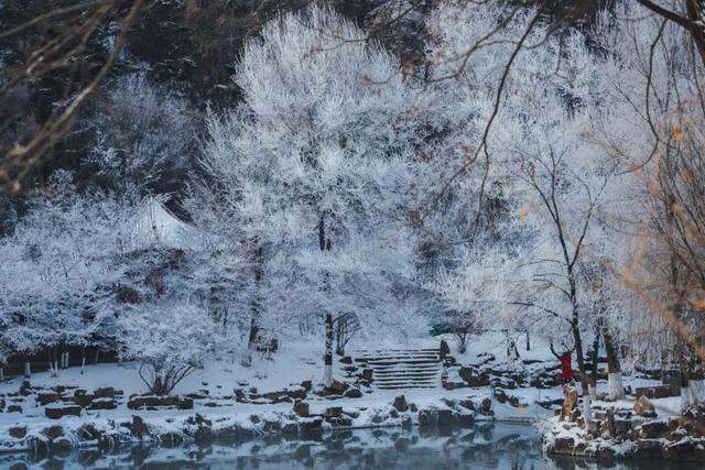 本溪水洞冬序：雾凇渡鸭，琴湖藏冬