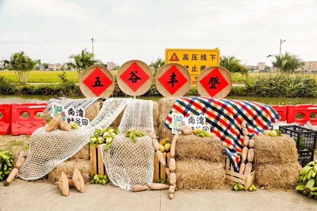 好吃好玩又好逛！本周末约定你庆丰收