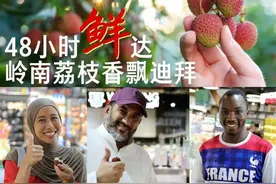 48小时“鲜”达 岭南荔枝香飘迪拜图片