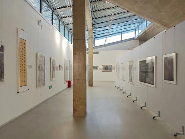 花海走起！湛江秋日限定打卡点！