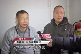 又吵又臭！女子在屋内养了30多只猫狗，邻居苦不堪言图片