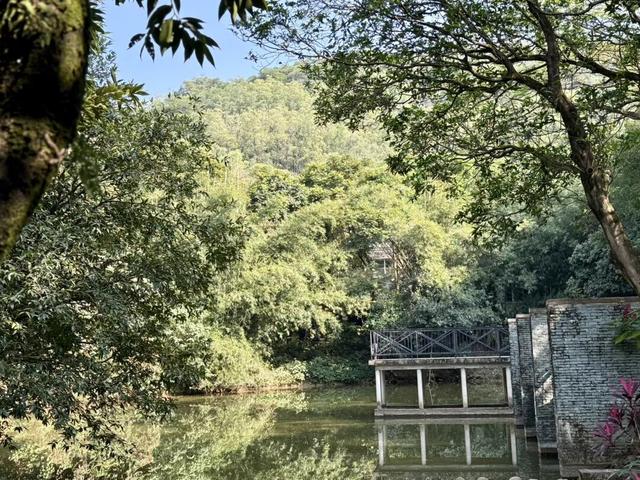 今天走了一段很长的路