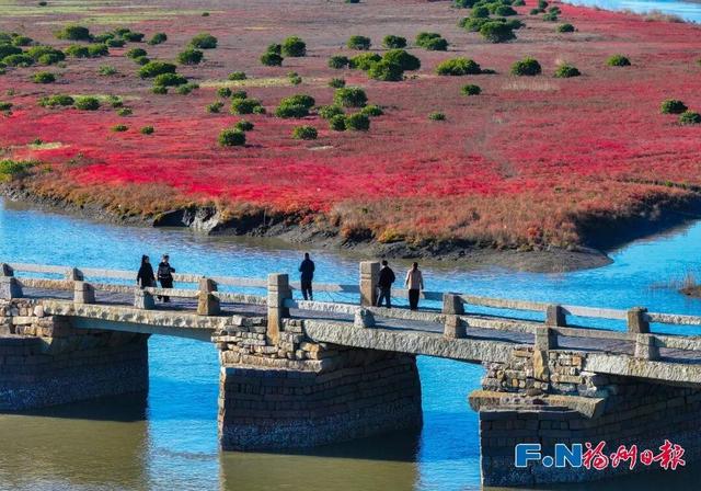 快来打卡！福州惊现“红海”奇观
