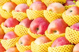 “浓缩果汁大王”安德利火力全开扩充产能图片