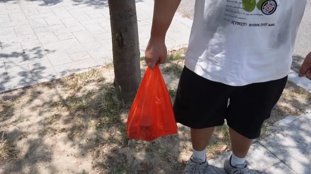 文明20条·十年回眸︱停车有秩序垃圾不落地 出游细节见真章