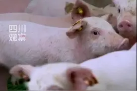 联播观察 ｜ 瞧“二师兄”上楼 住上智能公寓了图片