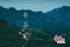 金鸡奖最佳编剧张冀监制 保靖黄金茶短片上线图片