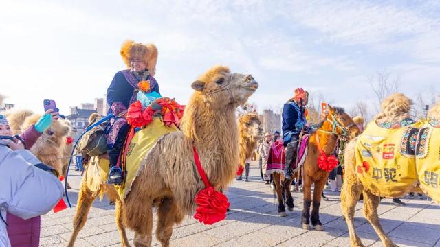 踏破风沙赴神都，白云山赠“终身旅游卡”！让天山来客常回“家”看看