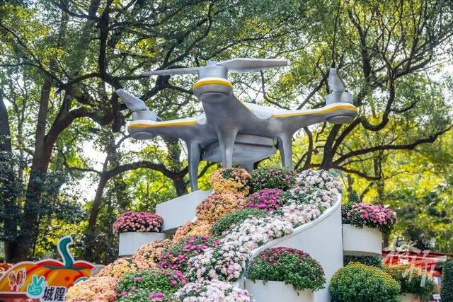 从8点堵到现在！杭州顶流回归