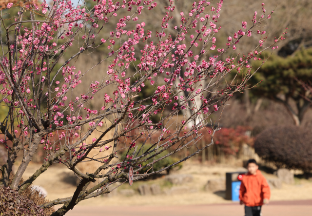 快冲！即将开遍日照！