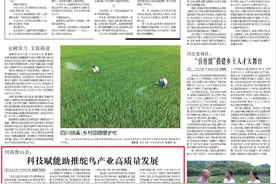 央媒观豫丨河南鲁山县：科技赋能助推鸵鸟产业高质量发展图片