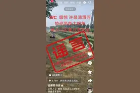 造谣“许昌清潩河惊现两条大鳄鱼”，男子被行政处罚图片