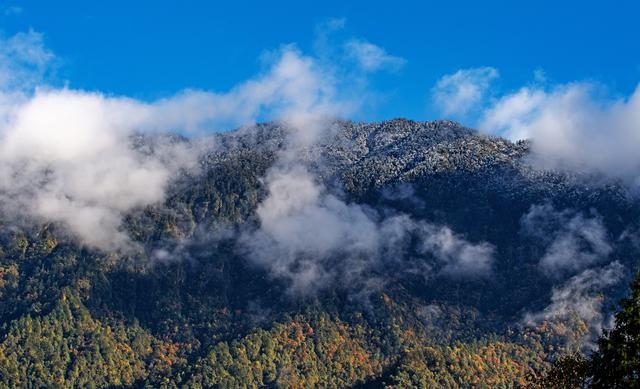四川峨边：黑竹沟美景醉游人