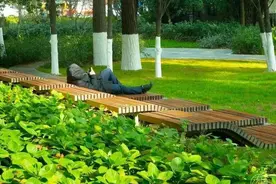 潮评丨武汉东湖躺椅好评如潮，到底踩中了什么社会需求图片