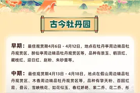 @全国游客 2025年菏泽各大牡丹园牡丹花期全攻略来了！图片