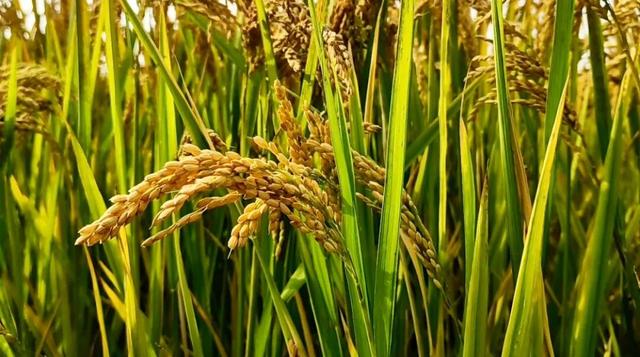 秋高气爽！接下来的宜兴→