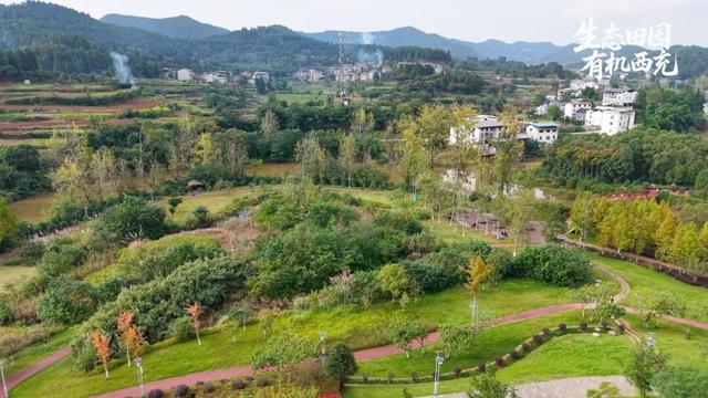 藏在西充城里的“芙蓉秘境”！千余亩美景承包你的秋日浪漫