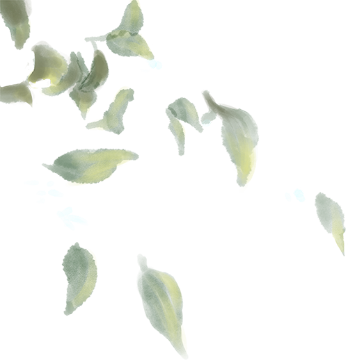 青睐绵阳 ‖ 马角秋日限定！解锁脆柿打卡新玩法，一日逛吃采摘攻略速领→