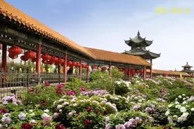 招商公告｜2025年第34届牡丹文化旅游节曹州百花园对外公开招商图片