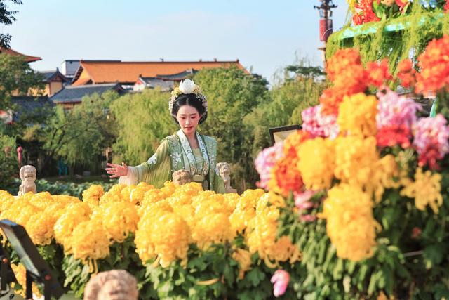 “汴”地菊花香满城，颜值如何换产值？