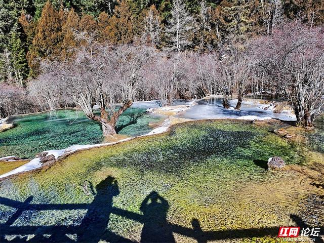 一半冰雪，一半碧波，冬日黄龙的色彩魔术