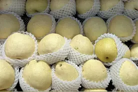 均价暴跌6元/公斤！曾经的“网红”跌落神坛？多品种大量上市图片