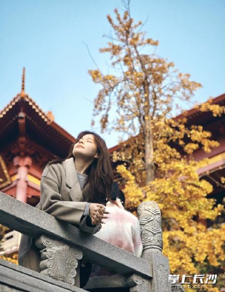 大雪至，洗心禅寺银杏的“黄金时刻”，游客打卡忙不停