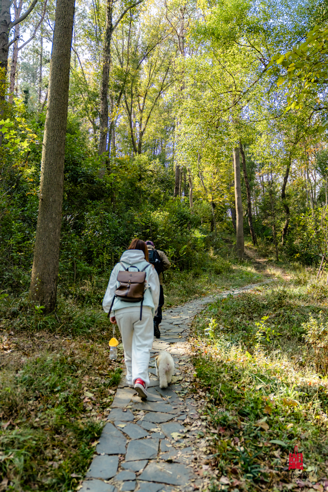 抓住晴天尾巴，徒步青龙山！