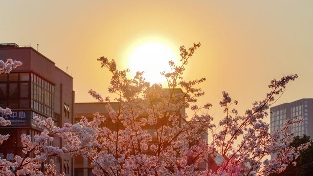 观山湖区:绿脉织城 四季变幻 绘就宜居新画卷