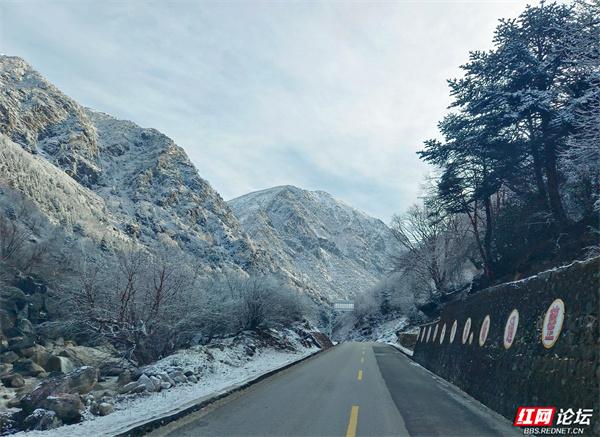 又向青藏踏雪行⑦丨垭口听风湖畔立，逍遥一路到亚东