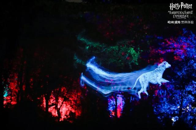 送票！冬天这里会“下雪”，二刷体验感更强