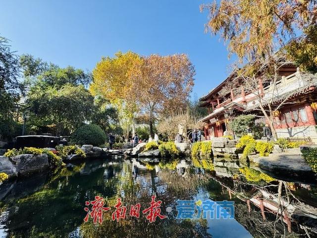 一年四季 泉在济南丨泉映蓝天柳拂岸 初冬趵突泉藏清趣