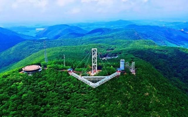 “奇幻动物城”上线！森林巡游、萌宠互动、气模打卡……欢乐不停歇！